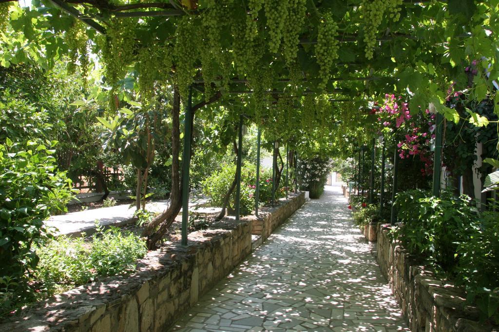 Armonia Hotel ماتالا المظهر الخارجي الصورة