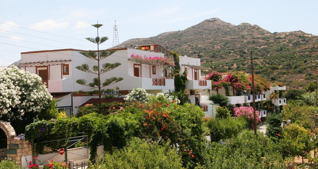 Armonia Hotel ماتالا المظهر الخارجي الصورة
